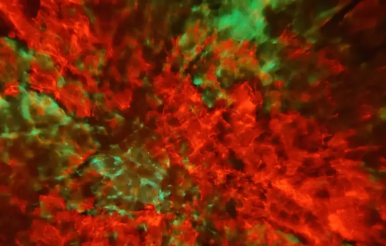 Govee Star Light (Nebula) csillagprojektor mini teszt 17