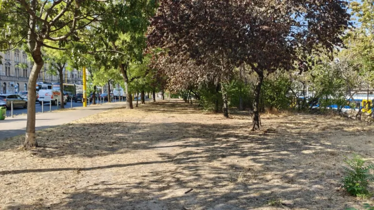 OnePlus Nord 6 okostelefon teszt 48